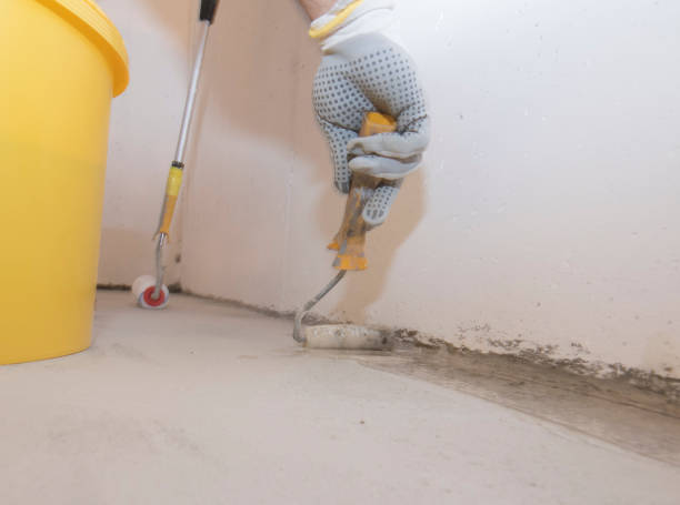 Best Termite Inspection and Treatment  in Cascade Locks, OR